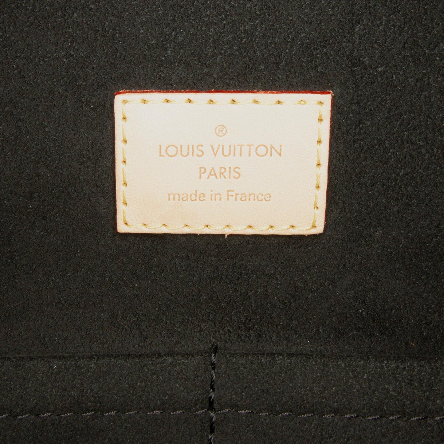 Louis Vuitton Monogram Gaia (SHG-YY96Cf)