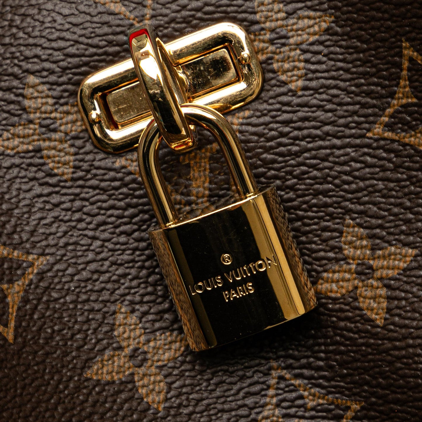 Louis Vuitton Monogram Gaia (SHG-XQvuut)