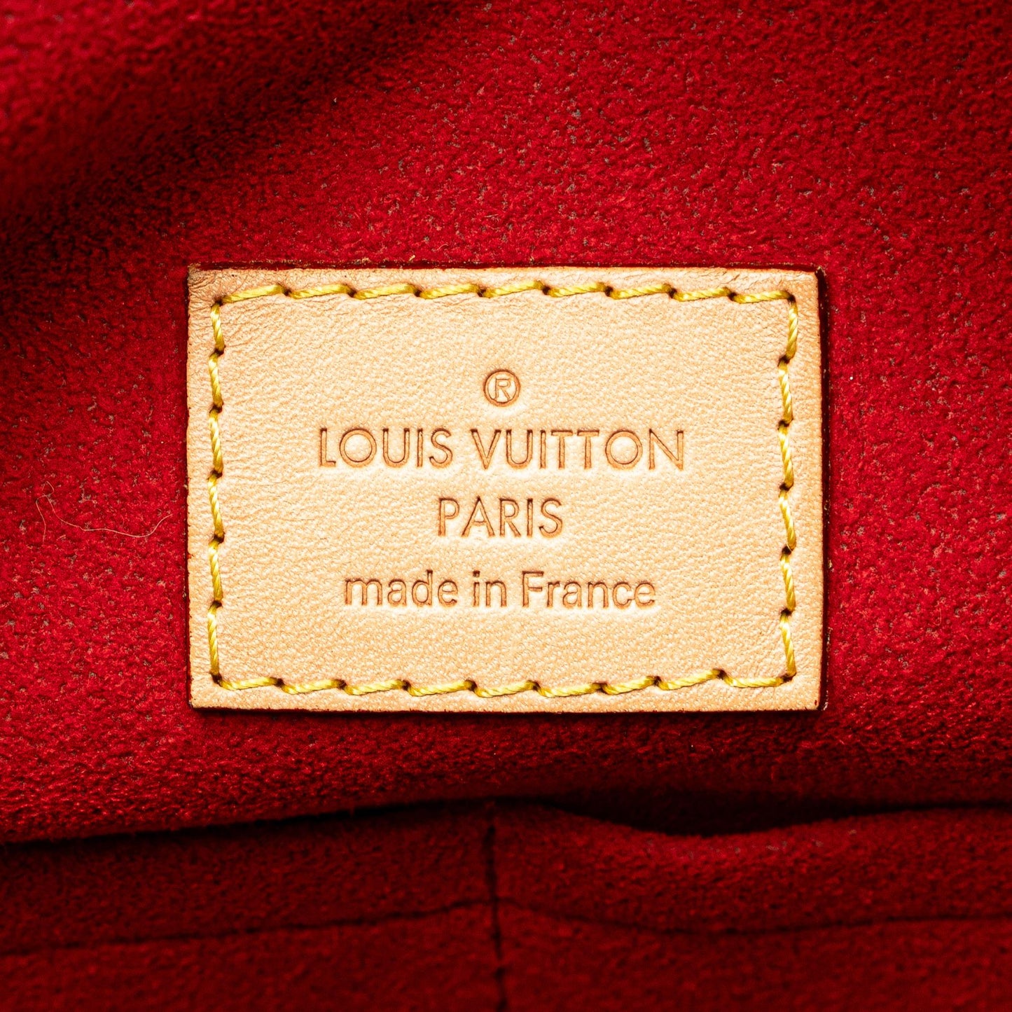 Louis Vuitton Monogram Gaia (SHG-XQvuut)