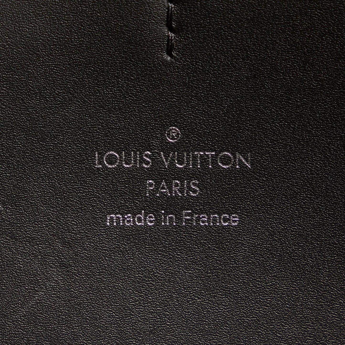 Louis Vuitton Monogram Giant Reverse Dauphine Bumbag (SHG-AHSvLI)