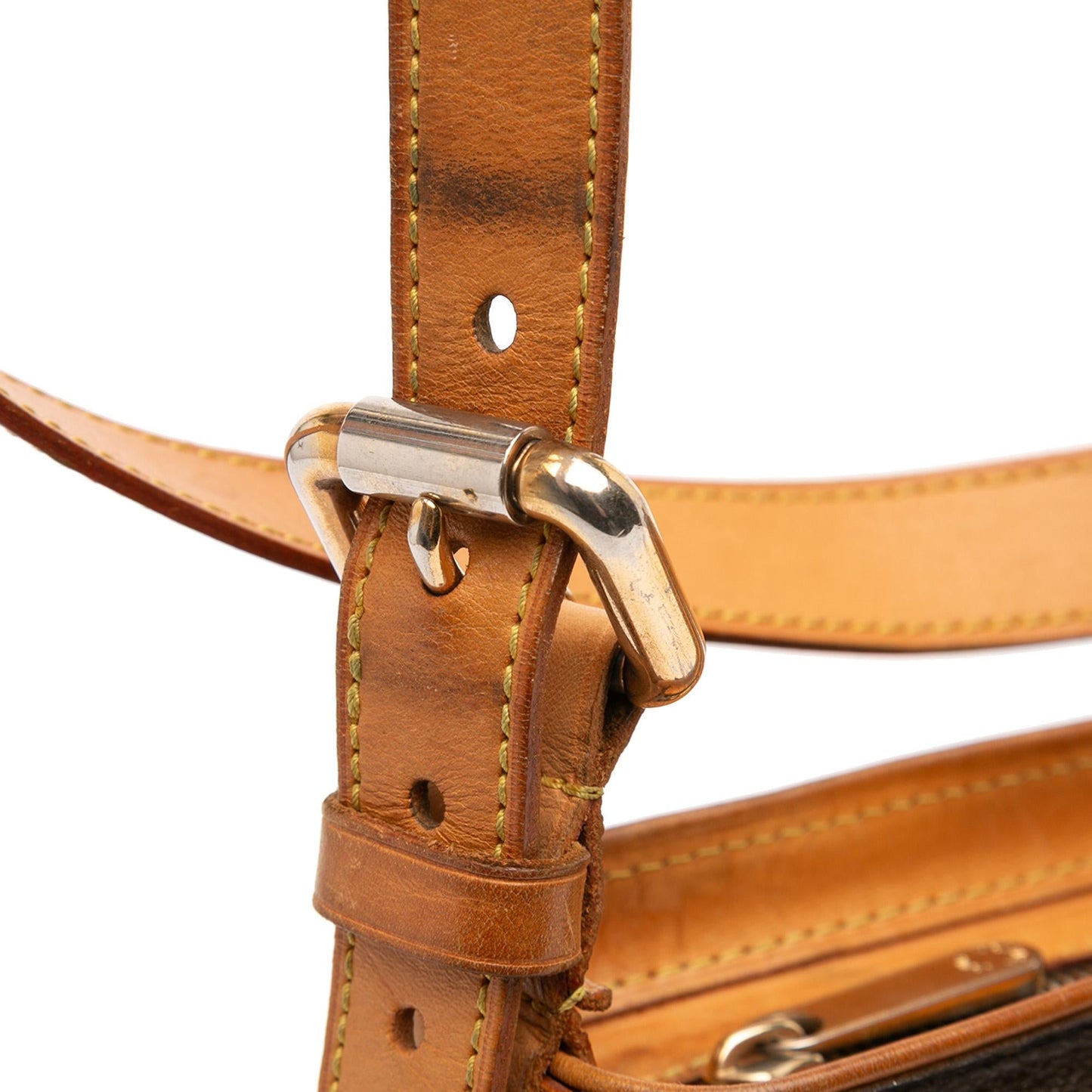 Louis Vuitton Monogram Hudson GM