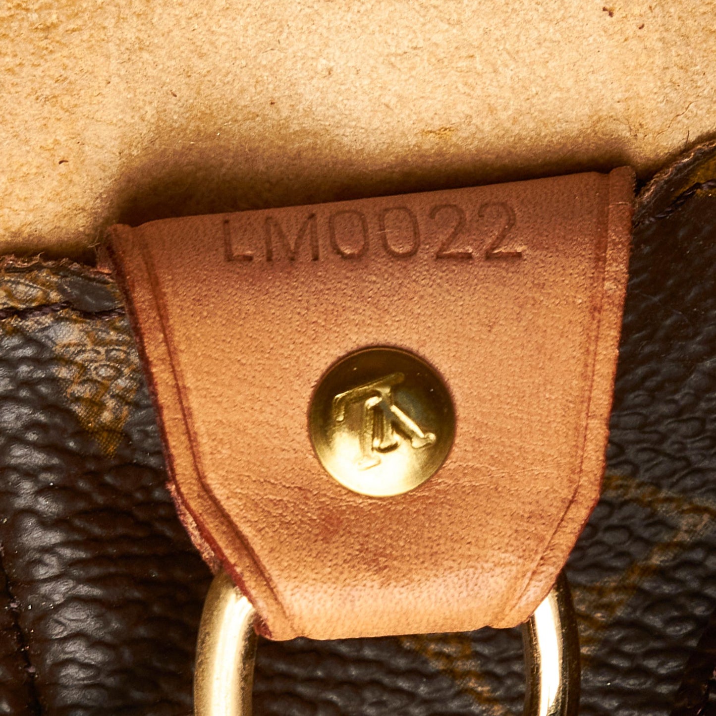 Louis Vuitton Monogram Luco (SHG-fAtE6M)