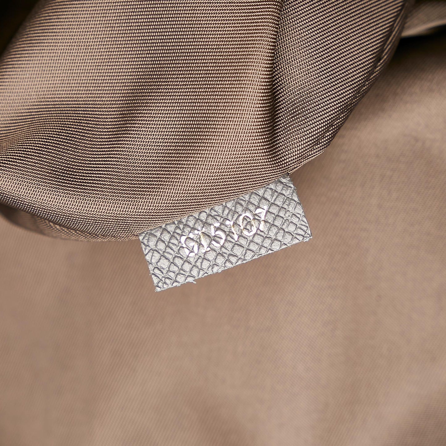 Louis Vuitton Monogram Macassar Cabas Light (SHG-33616)