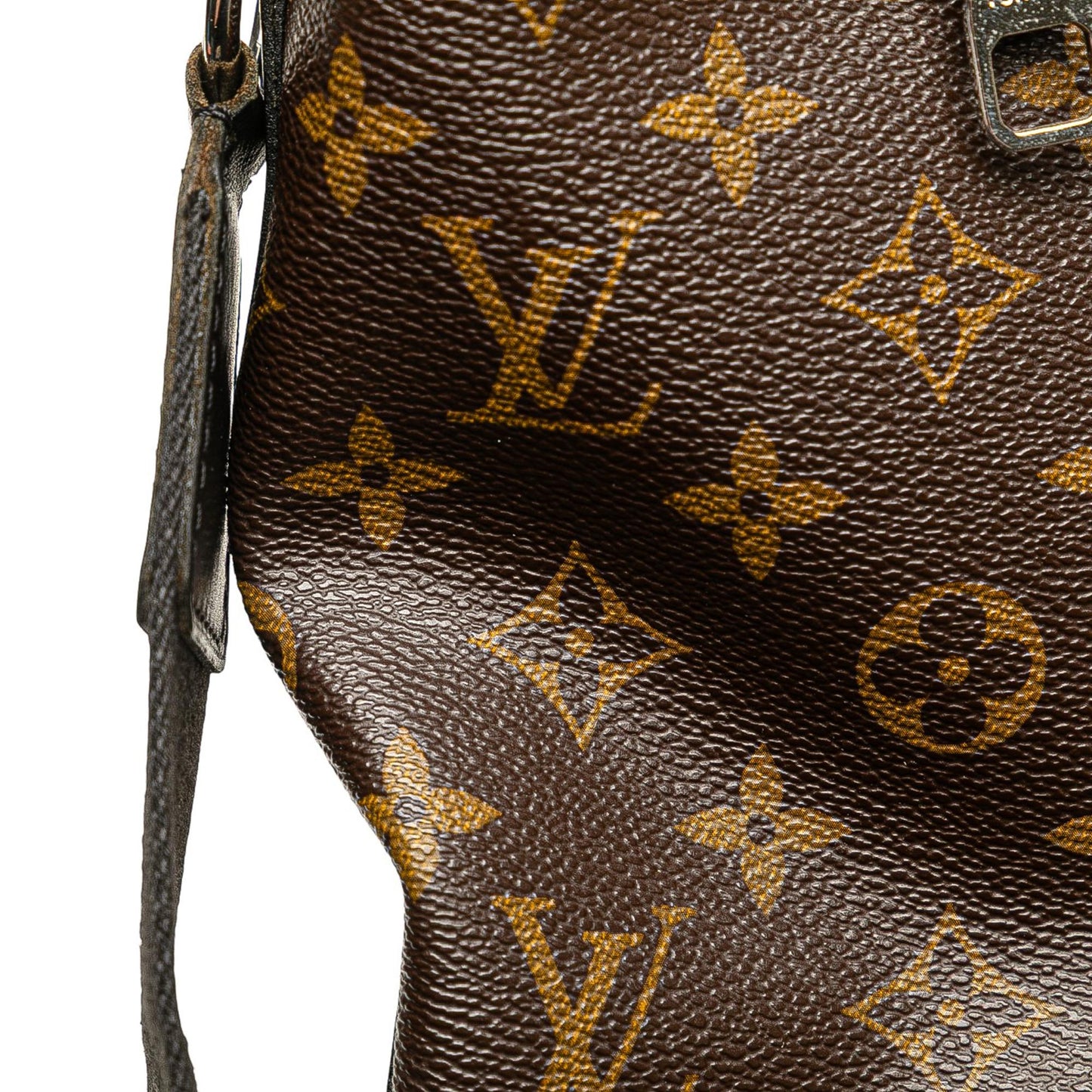Louis Vuitton Monogram Macassar Torres