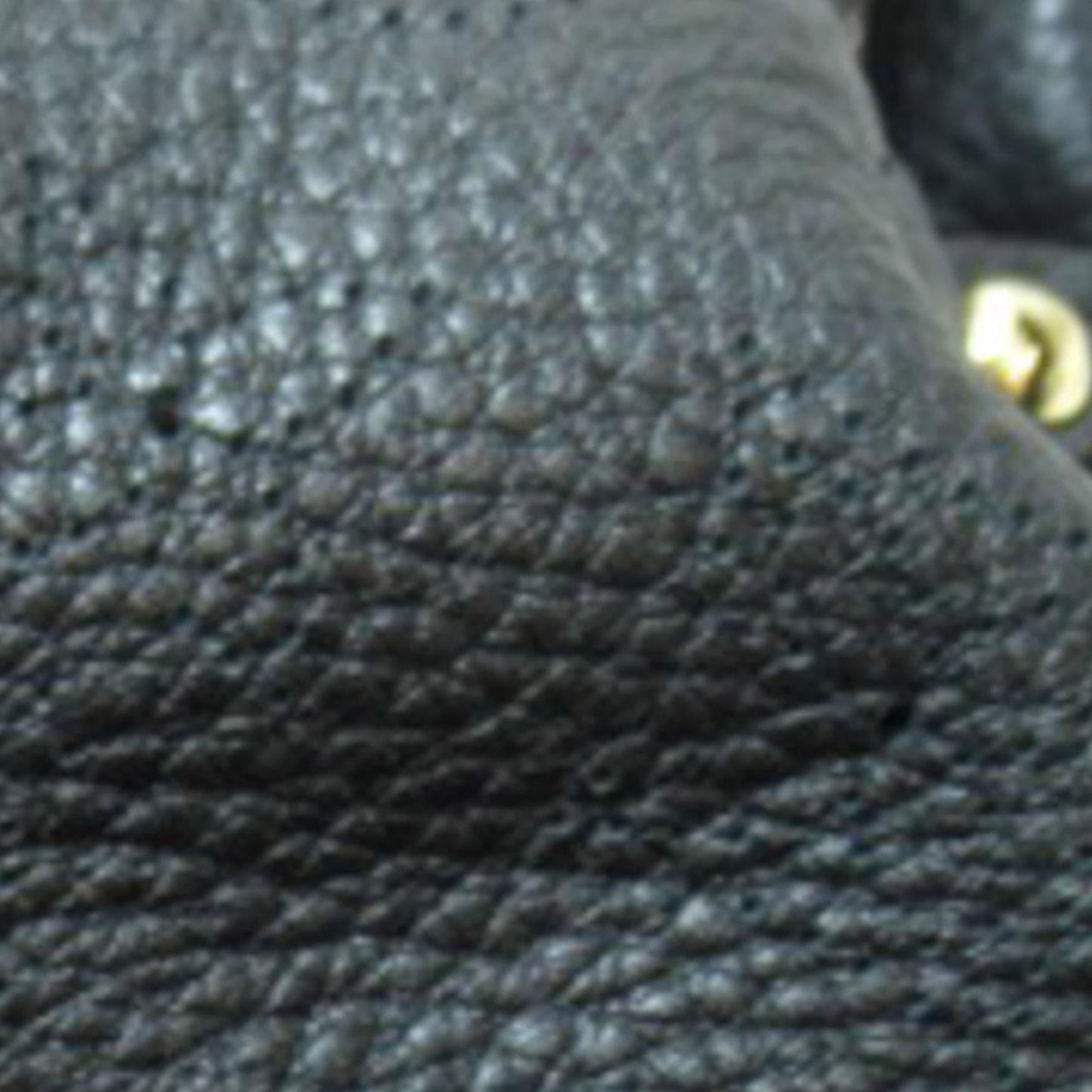 Louis Vuitton Monogram Mahina L (SHG-D4B8SR)