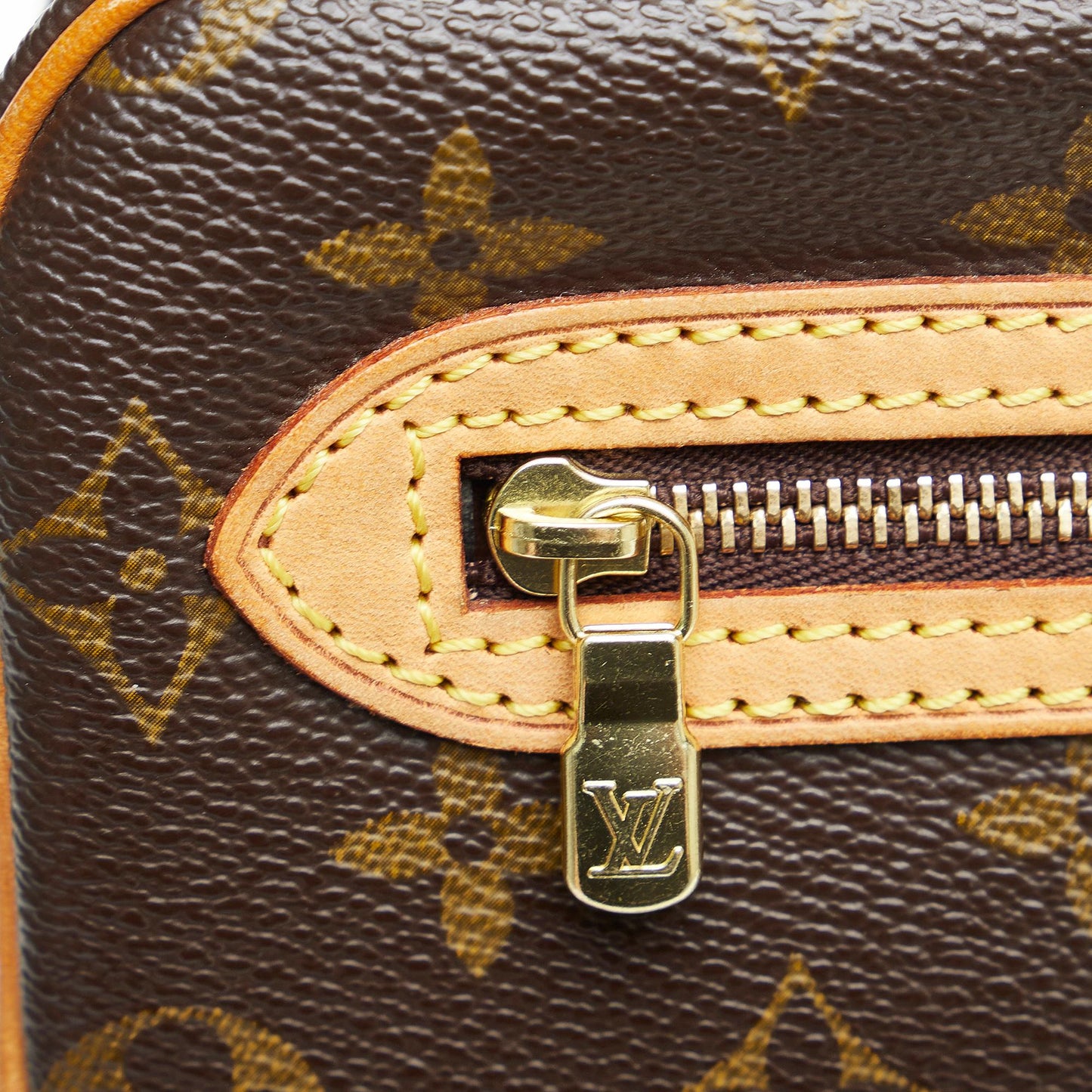 Louis Vuitton Monogram Marly Dragonne GM (SHG-nfICTg)
