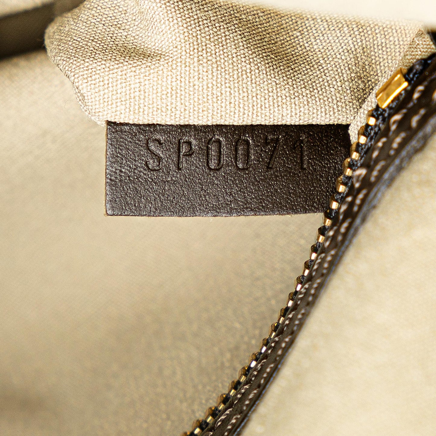 Louis Vuitton Monogram Mini Lin Francoise (SHG-TZYLcb)