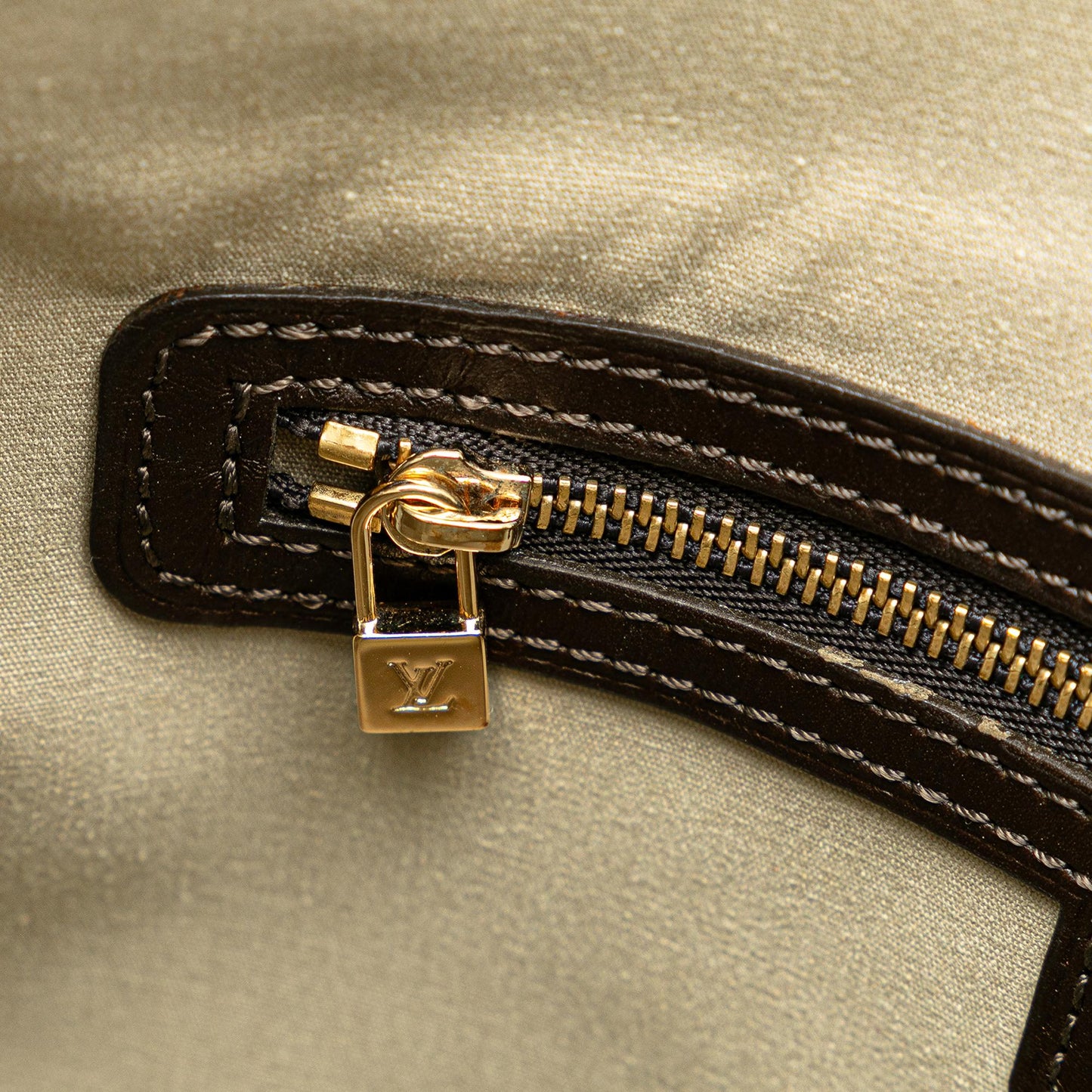 Louis Vuitton Monogram Mini Lin Francoise (SHG-TZYLcb)