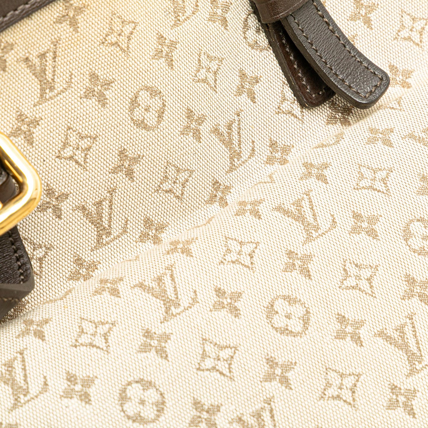Louis Vuitton Monogram Mini Lin Francoise