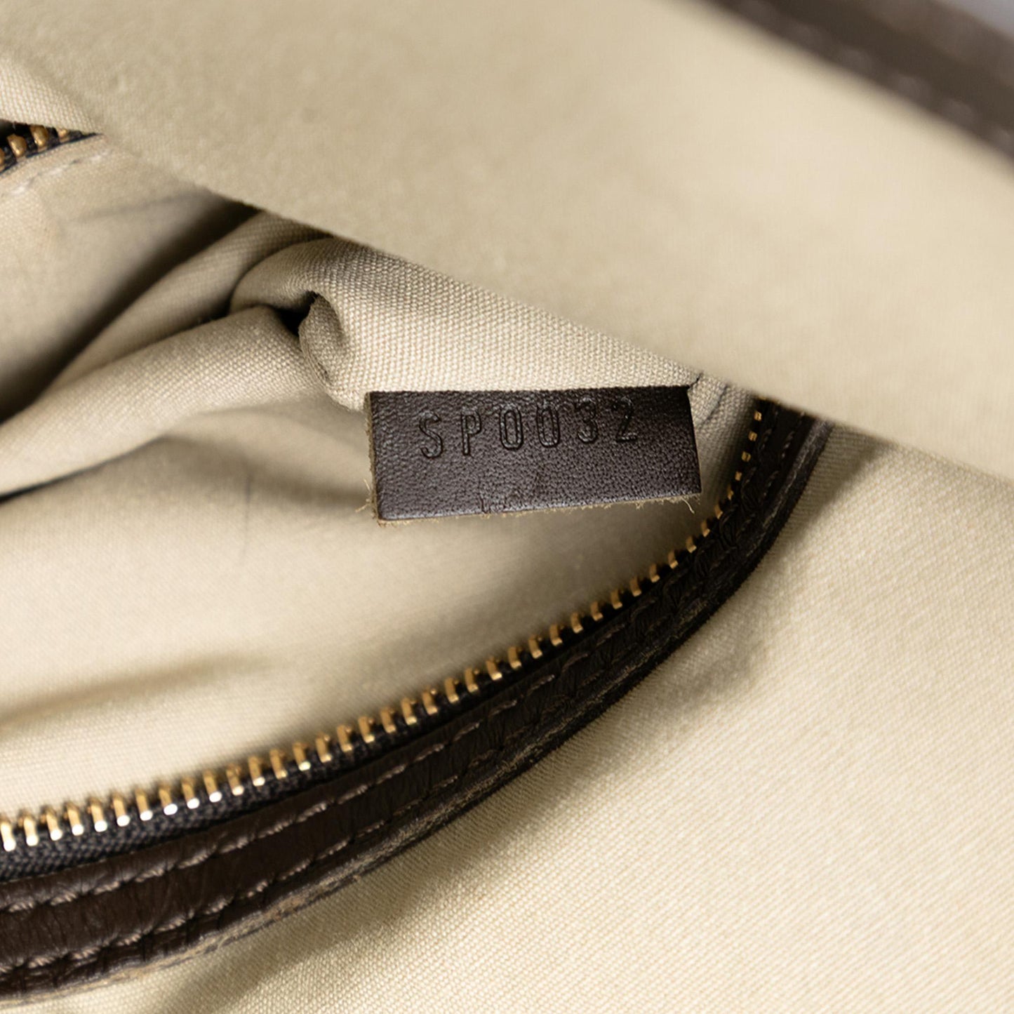 Louis Vuitton Monogram Mini Lin Francoise