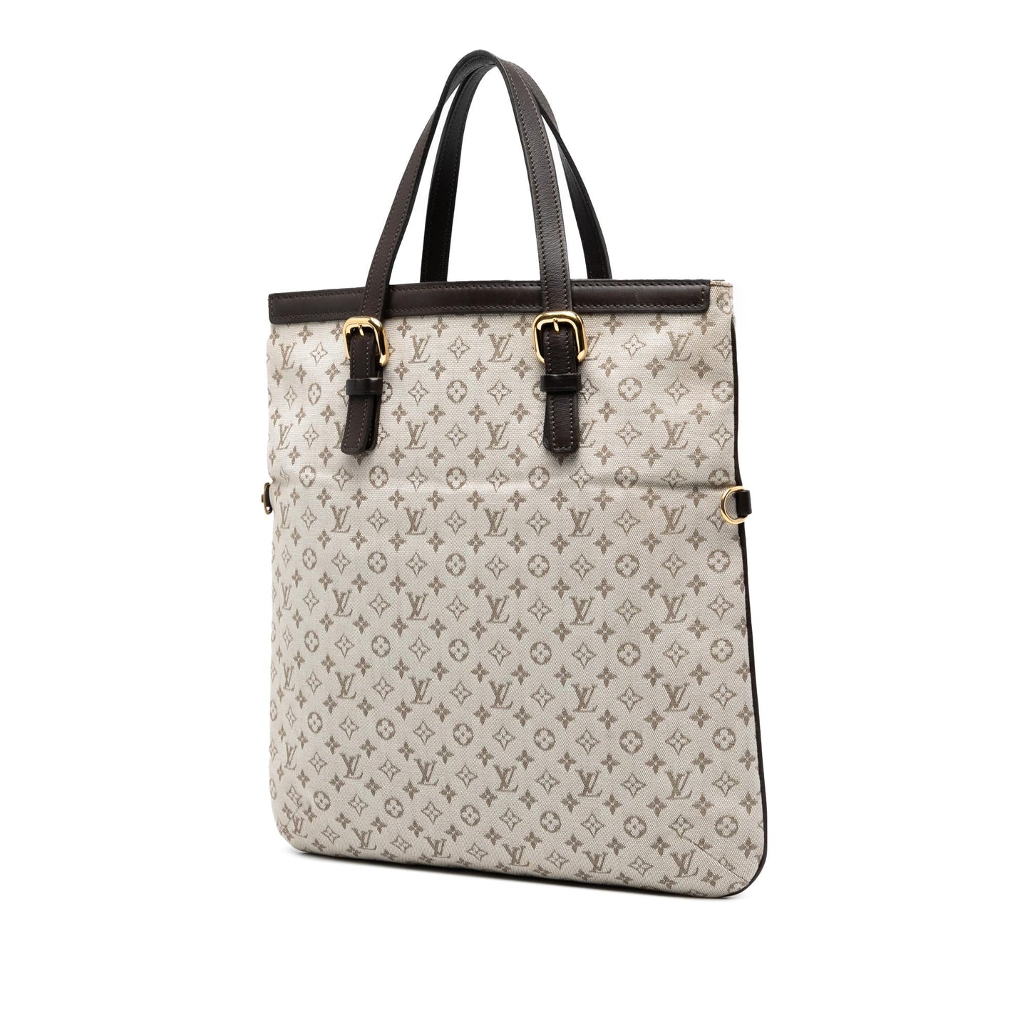 Louis Vuitton Monogram Mini Lin Francoise