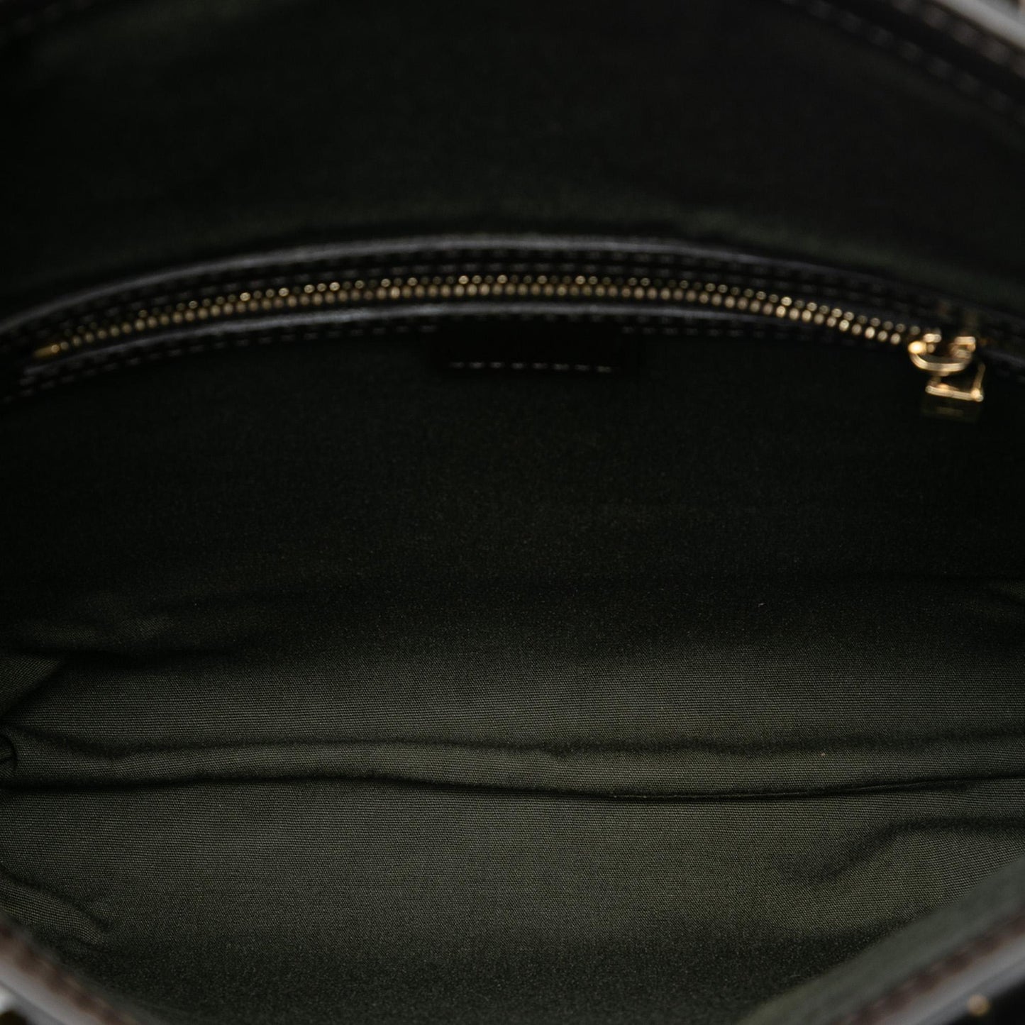 Louis Vuitton Monogram Mini Lin Francoise