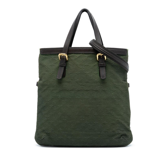 Louis Vuitton Monogram Mini Lin Francoise