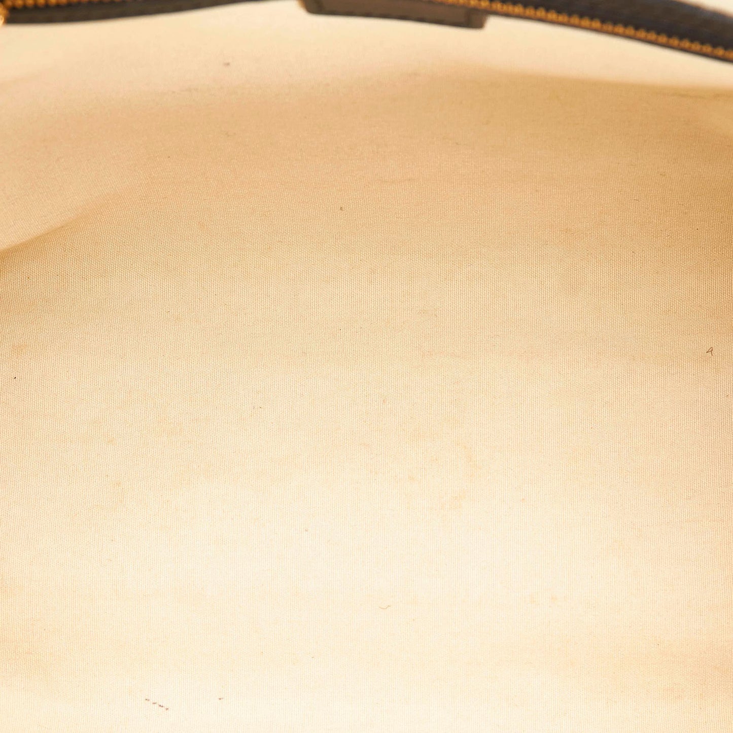 Louis Vuitton Monogram Mini Lin Josephine PM (SHG-30154)