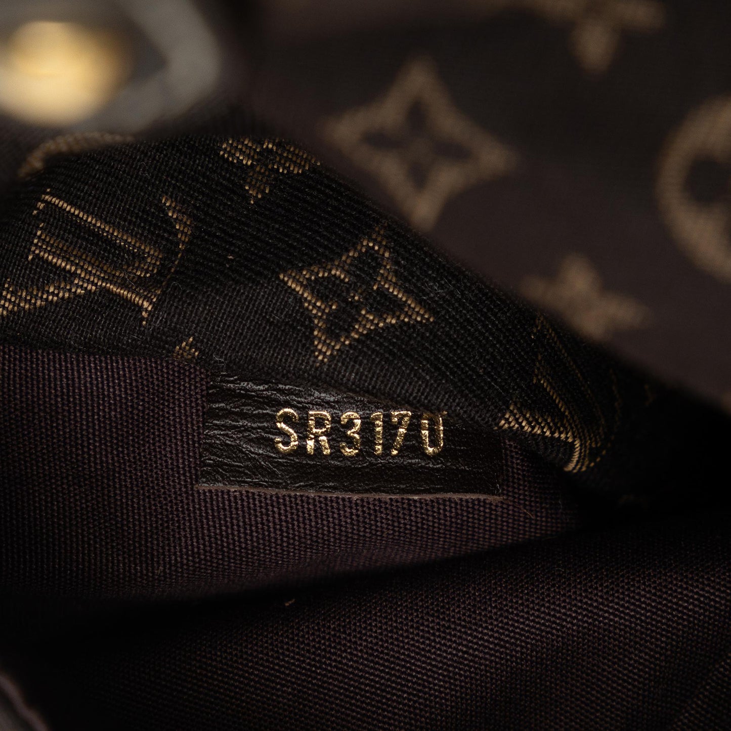 Louis Vuitton Monogram Mini Lin Romance