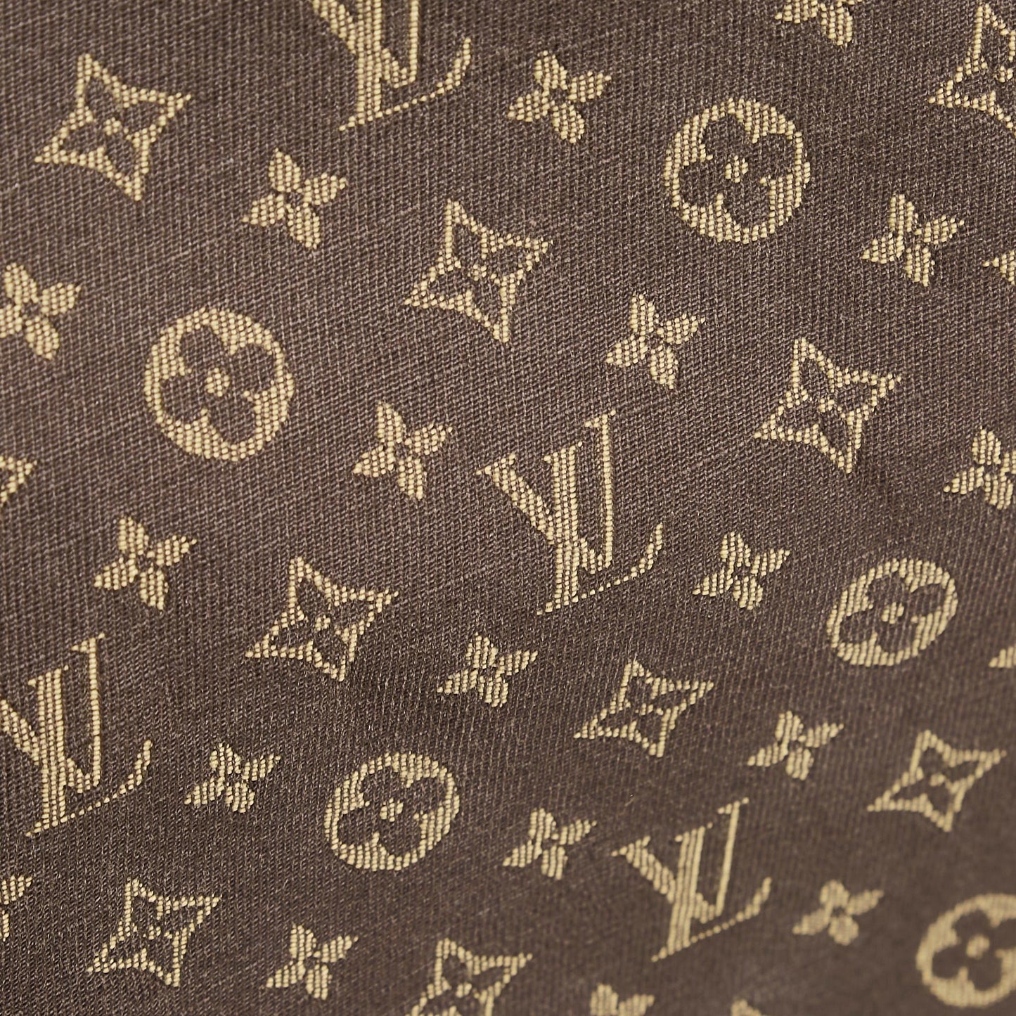 Louis Vuitton Monogram Mini Lin Speedy 30 (SHG-Q4pfq5)