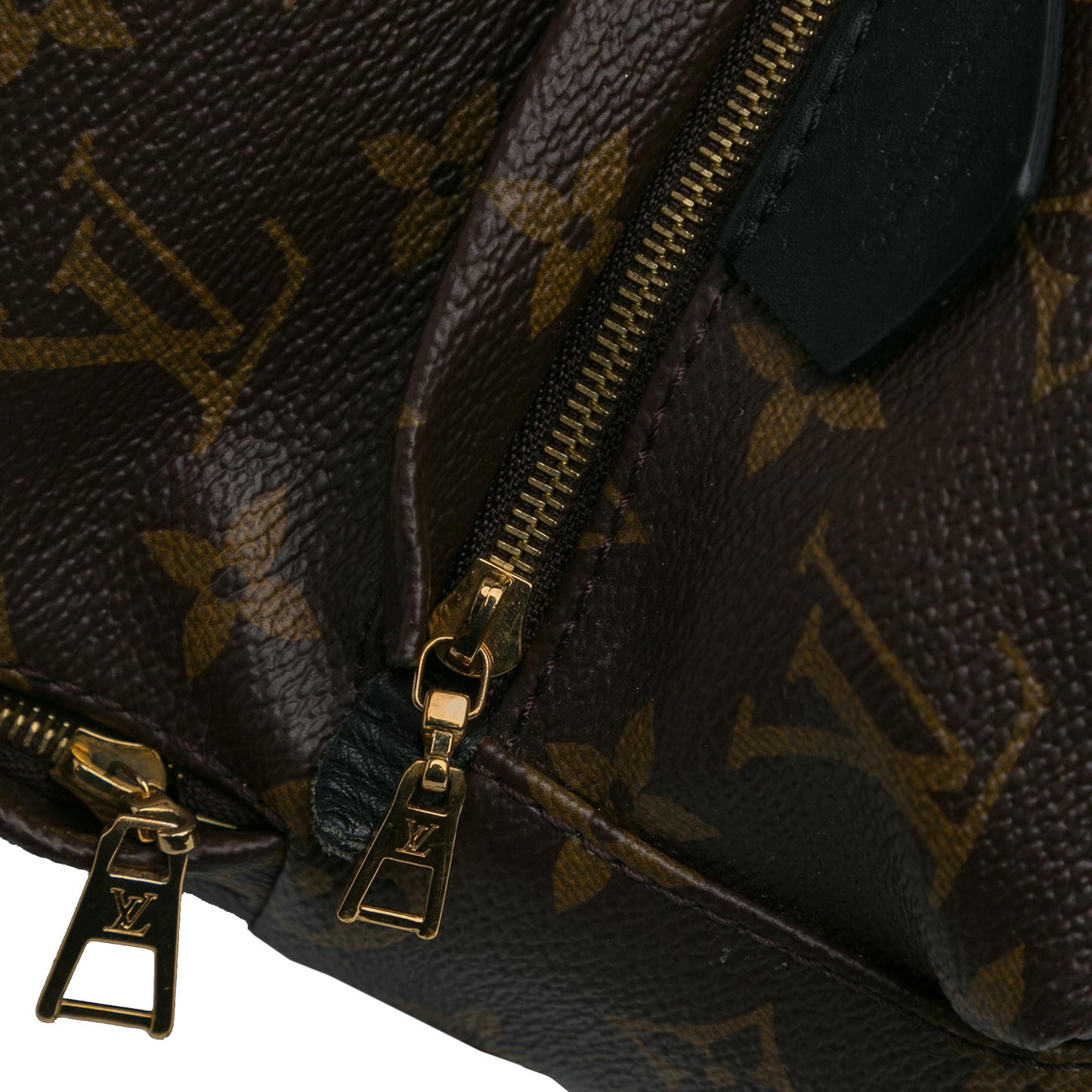 Louis Vuitton Monogram Mini Palm Springs (SHG-8FRG3t)