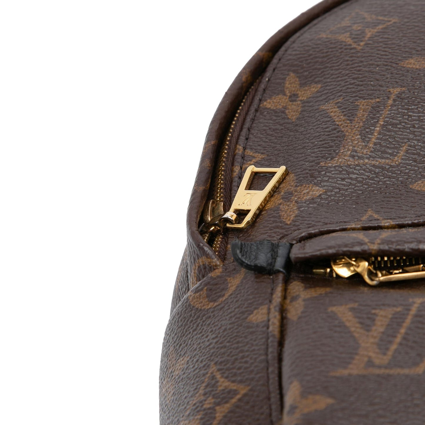 Louis Vuitton Monogram Mini Palm Springs