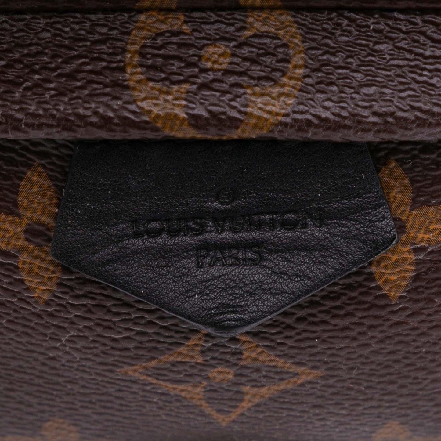 Louis Vuitton Monogram Mini Palm Springs