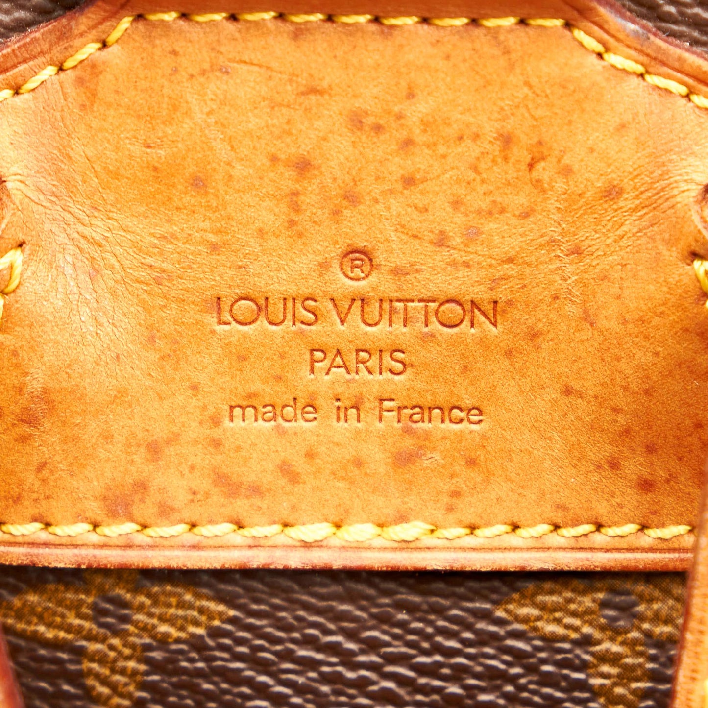 Louis Vuitton Monogram Montsouris MM (SHG-vPzNkv)
