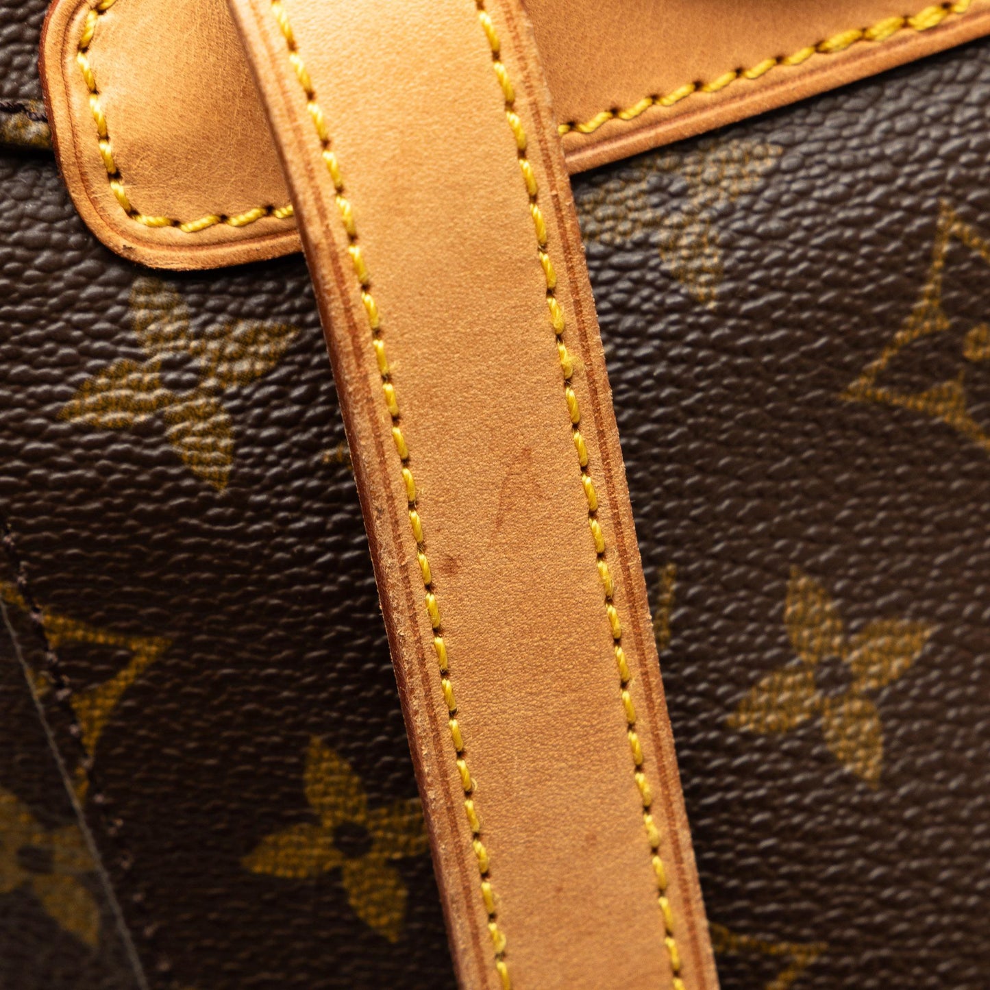 Louis Vuitton Monogram Montsouris MM (SHG-kGfpcL)