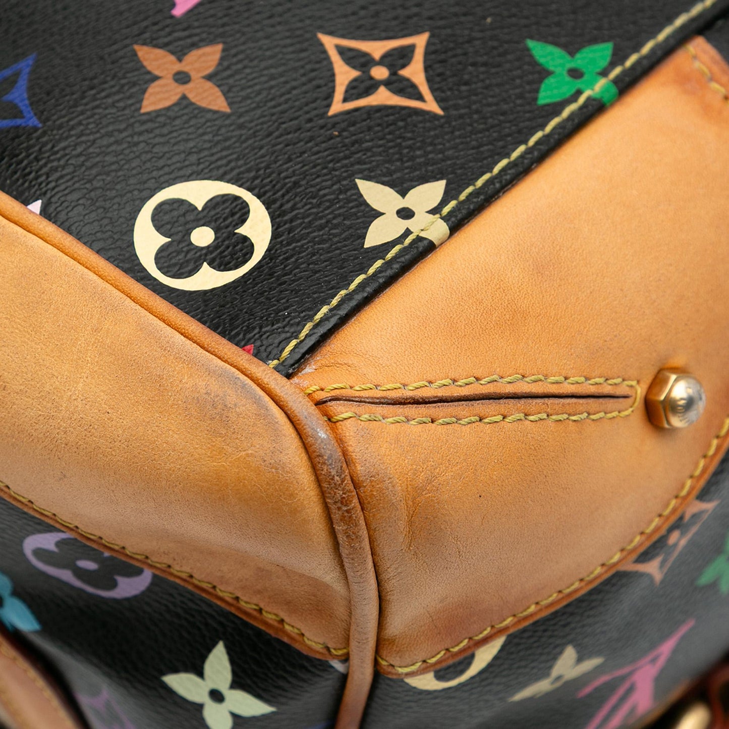 Louis Vuitton Monogram Multicolore Claudia