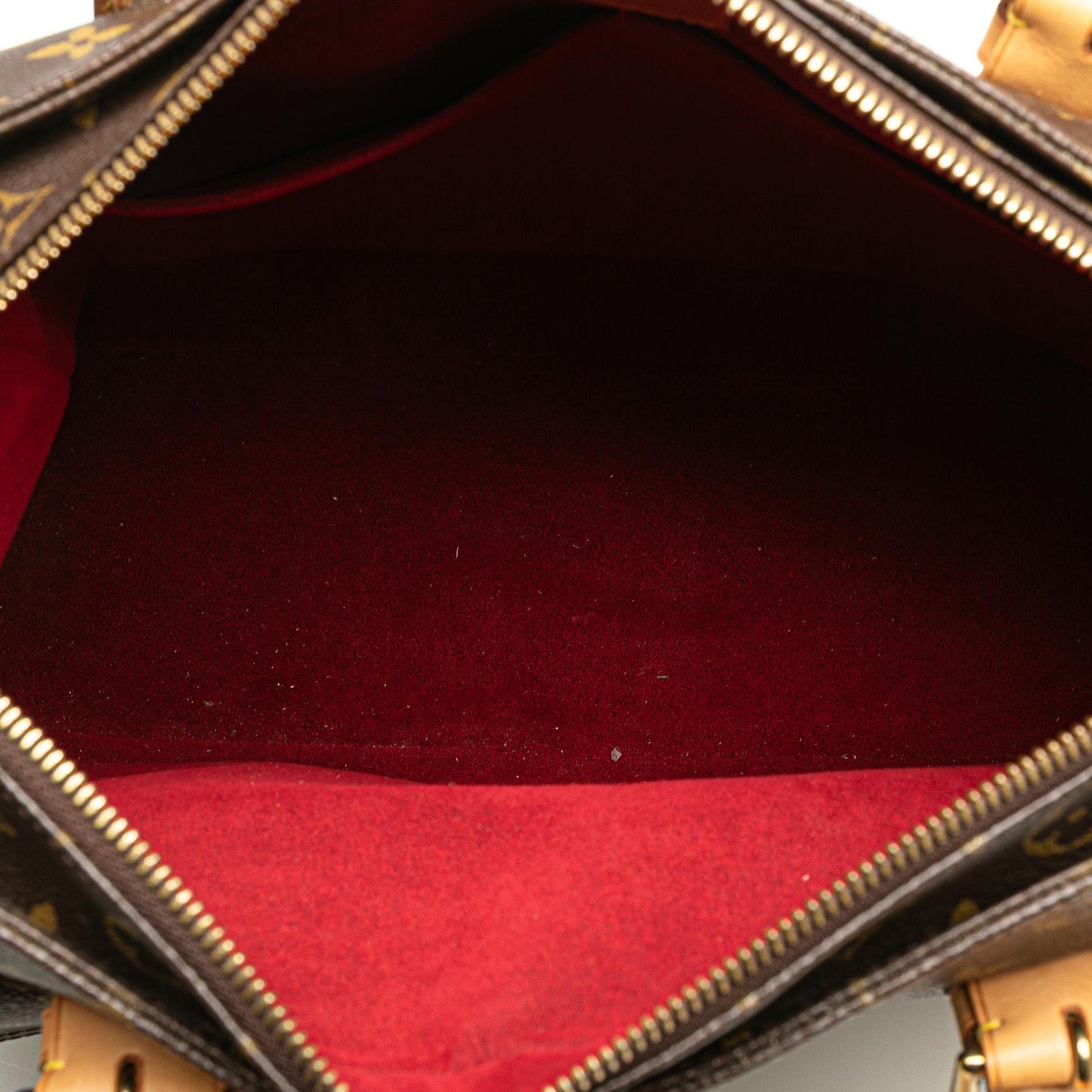 Louis Vuitton Monogram Multipli Cite