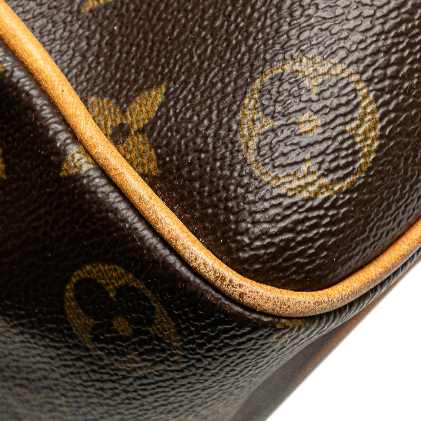 Louis Vuitton Monogram Multipli Cite