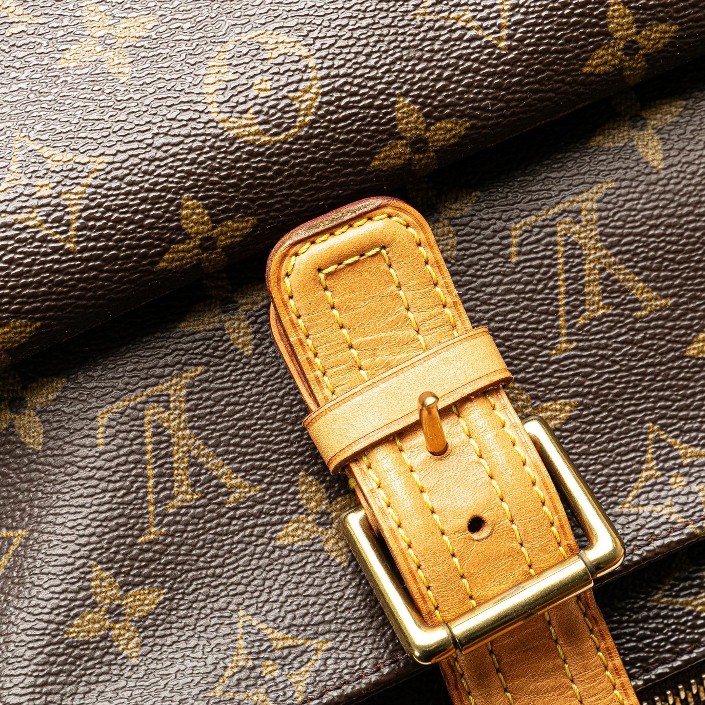 Louis Vuitton Monogram Multipli Cite
