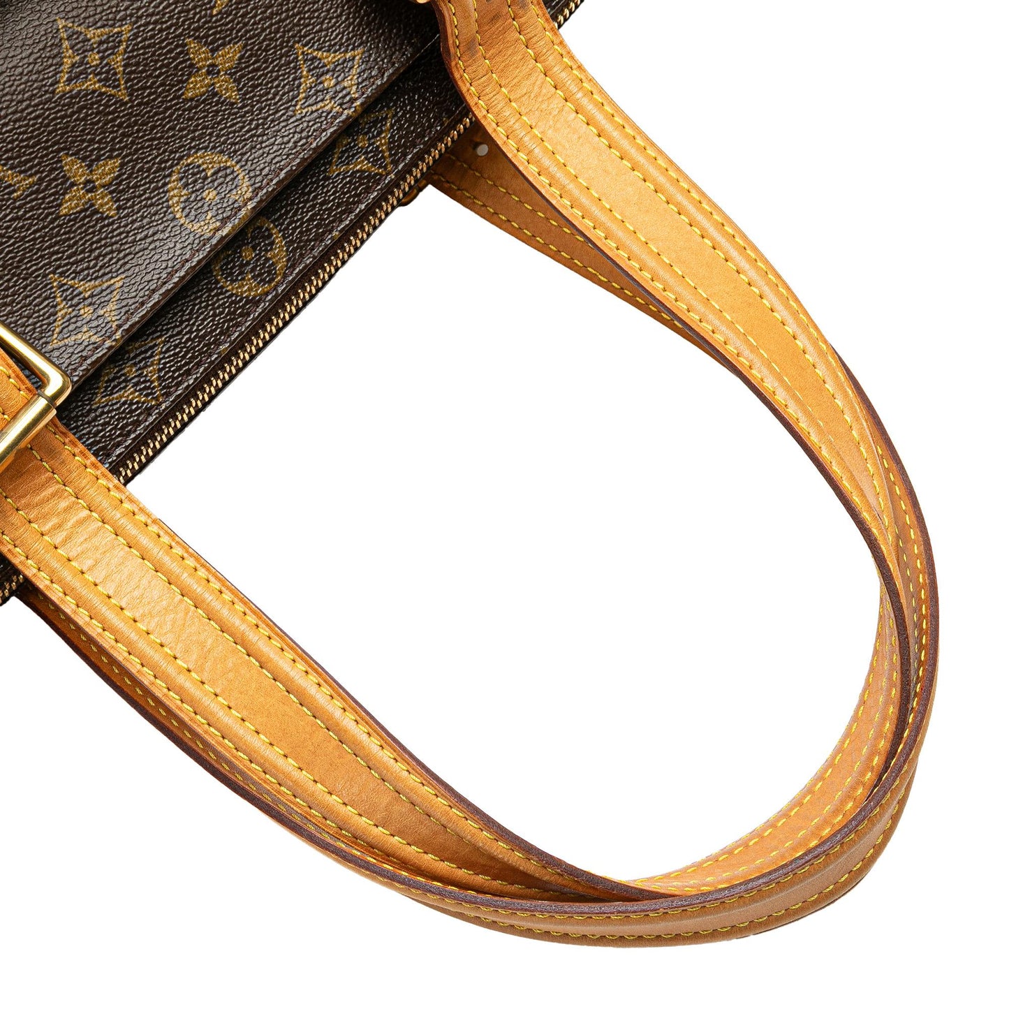 Louis Vuitton Monogram Multipli Cite