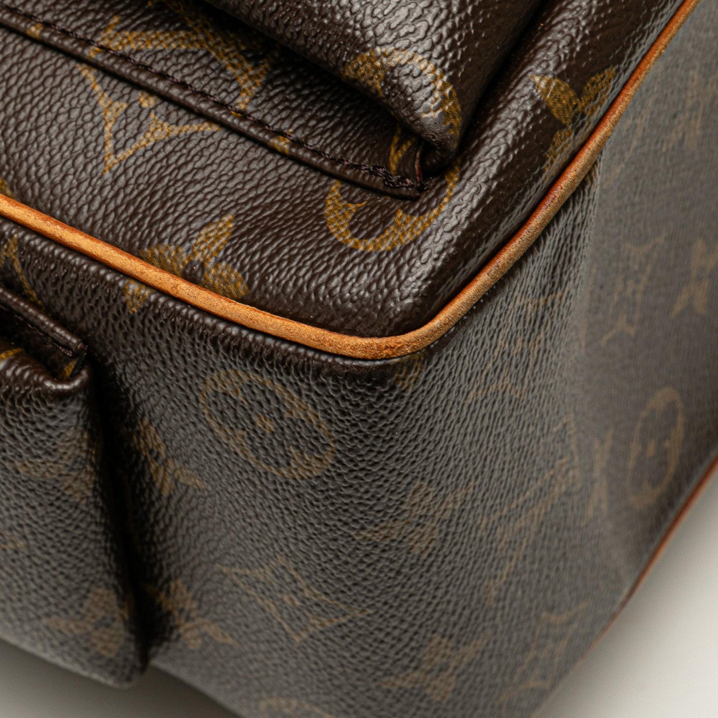 Louis Vuitton Monogram Multipli Cite