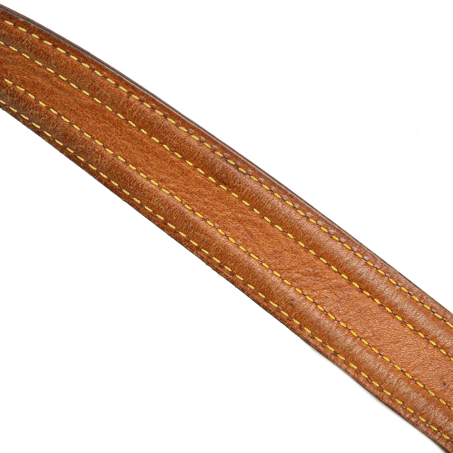 Louis Vuitton Monogram Multipli Cite