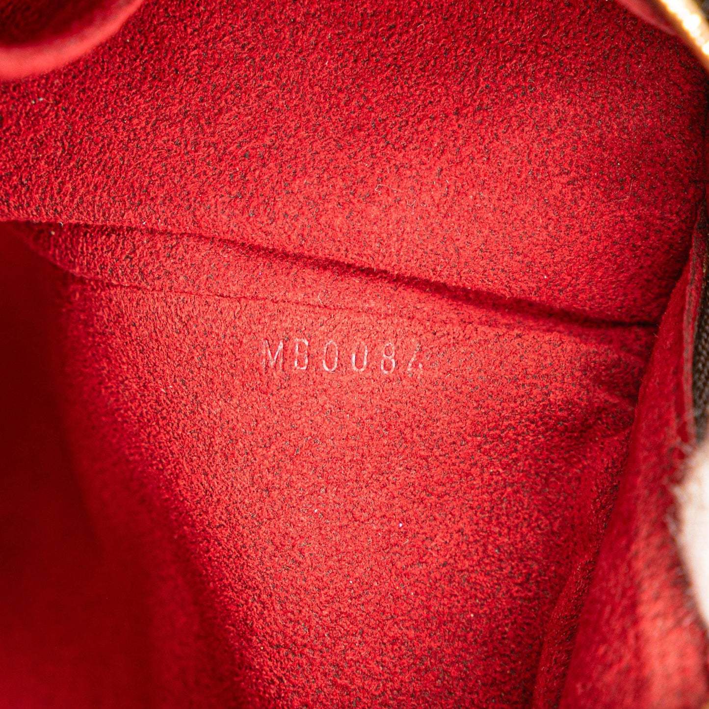 Louis Vuitton Monogram Multipli Cite