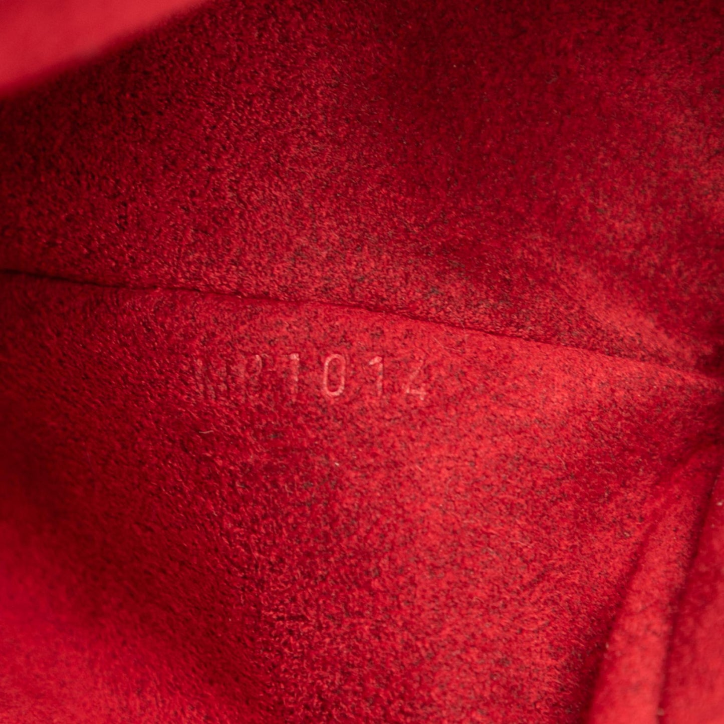 Louis Vuitton Monogram Multipli Cite