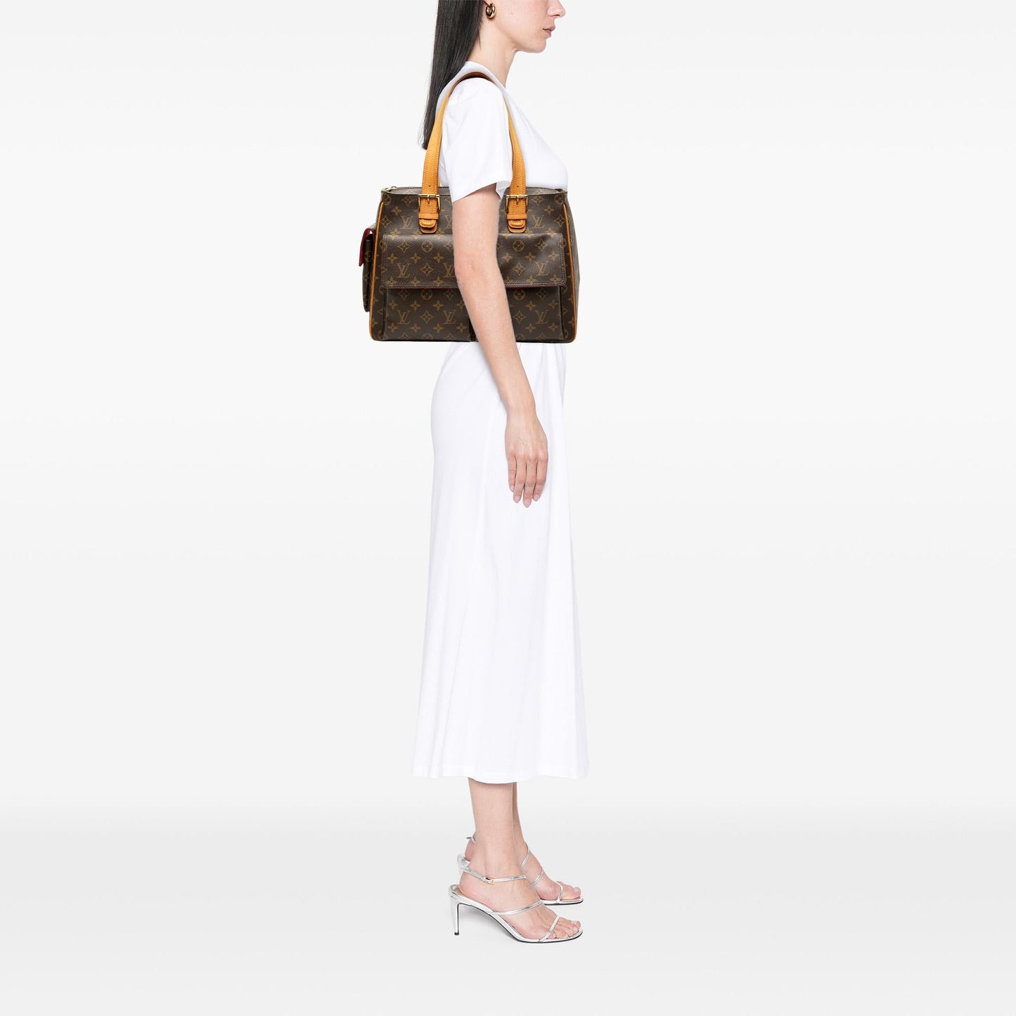 Louis Vuitton Monogram Multipli Cite