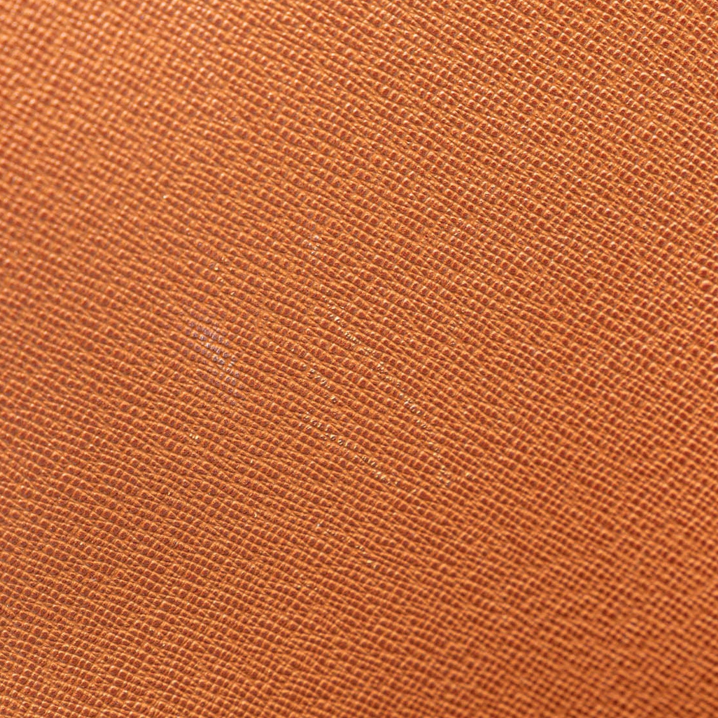 Louis Vuitton Monogram Musette Salsa PM Long Strap