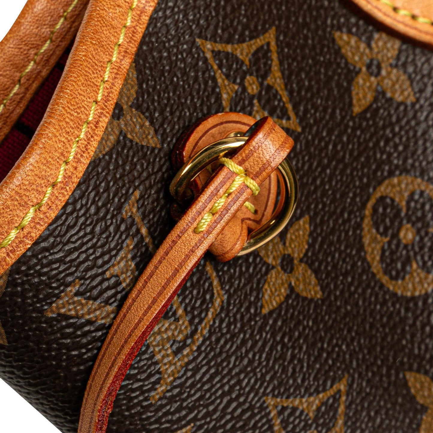Louis Vuitton Monogram Neverfull PM