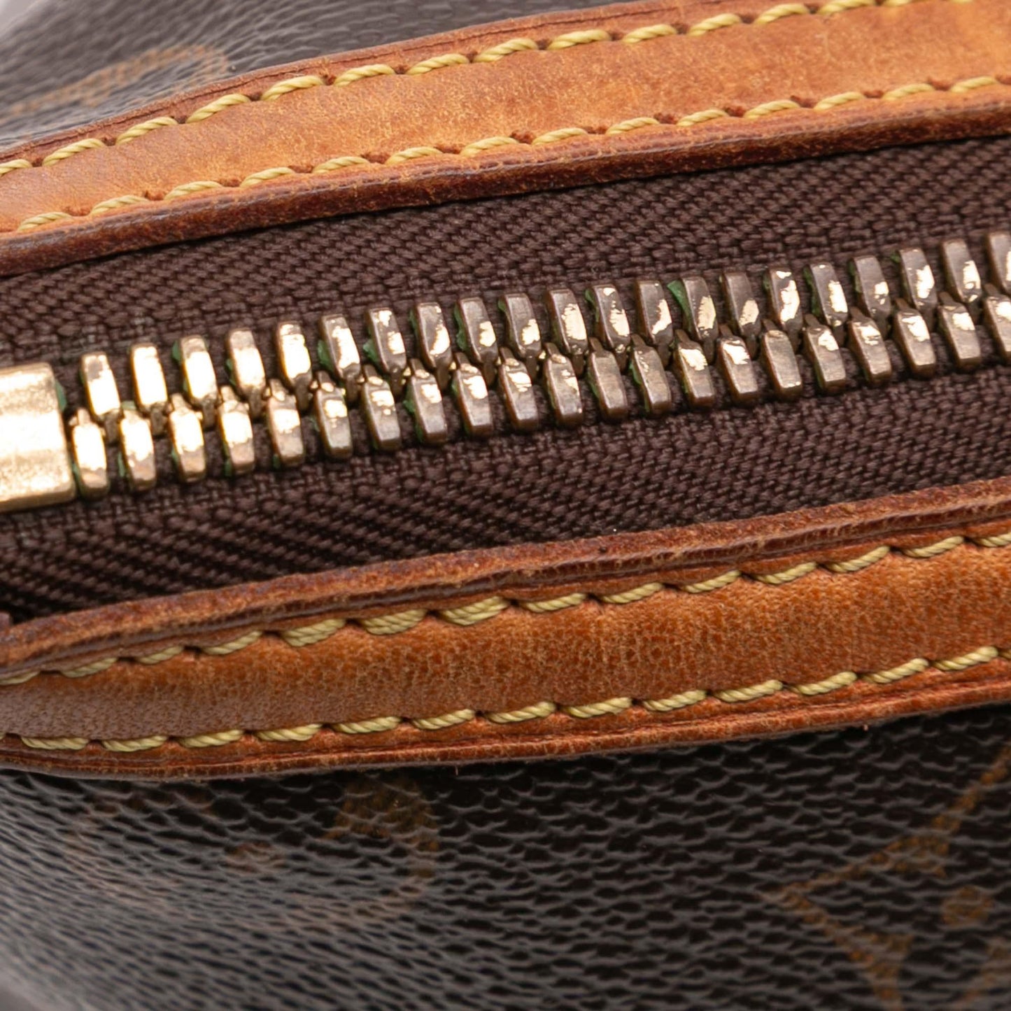 Louis Vuitton Monogram Palermo PM