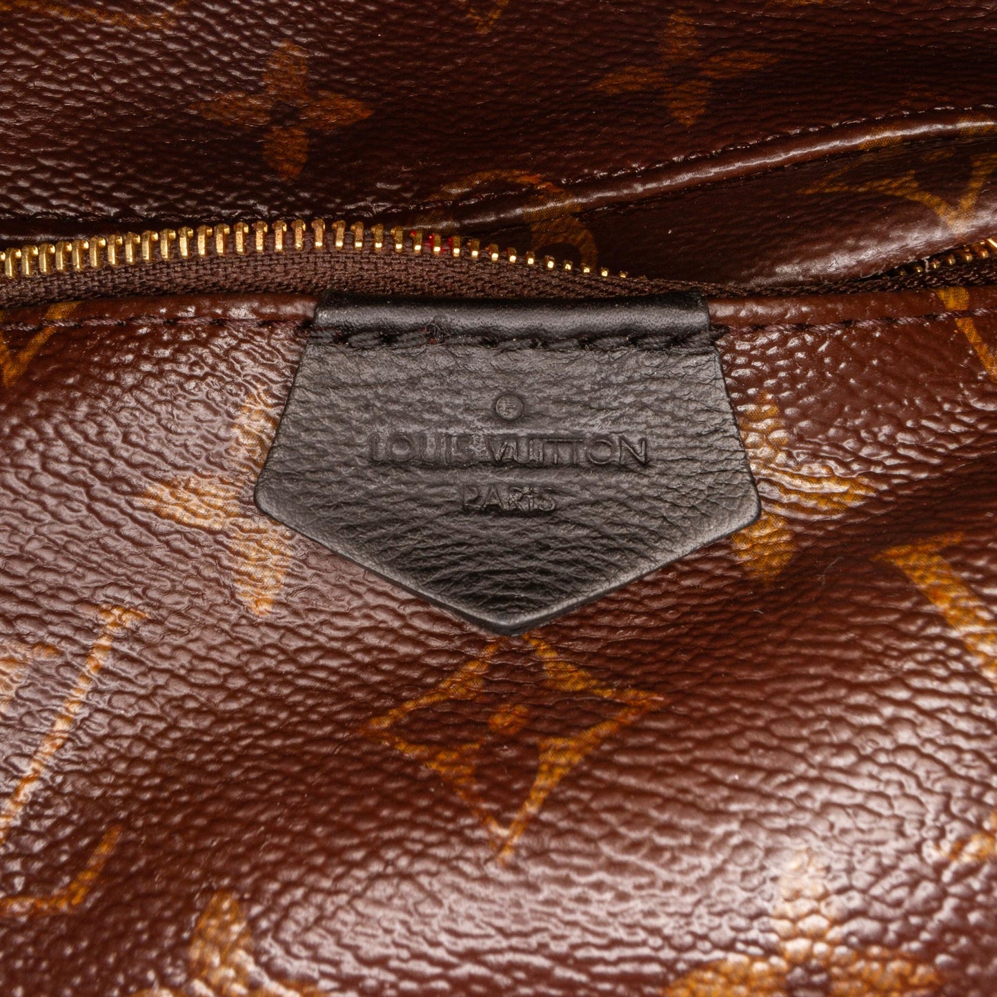 Louis Vuitton Monogram Palm Springs Mini (SHG-DldnMG)