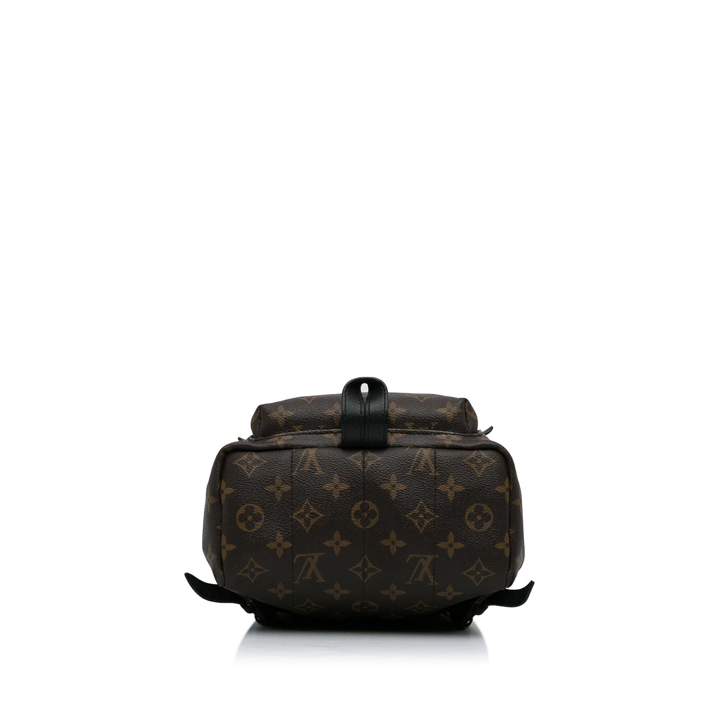 Louis Vuitton Monogram Palm Springs PM (SHG-b2hE1P)
