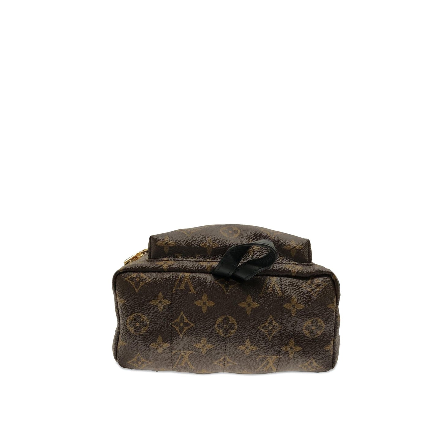 Louis Vuitton Monogram Palm Springs PM (SHG-i21aYX)
