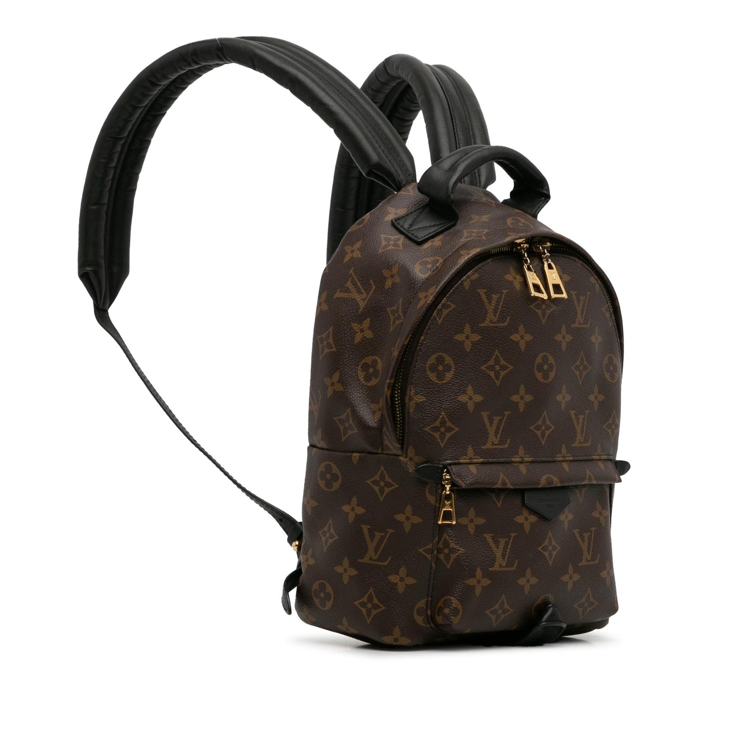 Louis Vuitton Monogram Palm Springs PM (SHG-t4LKWY)