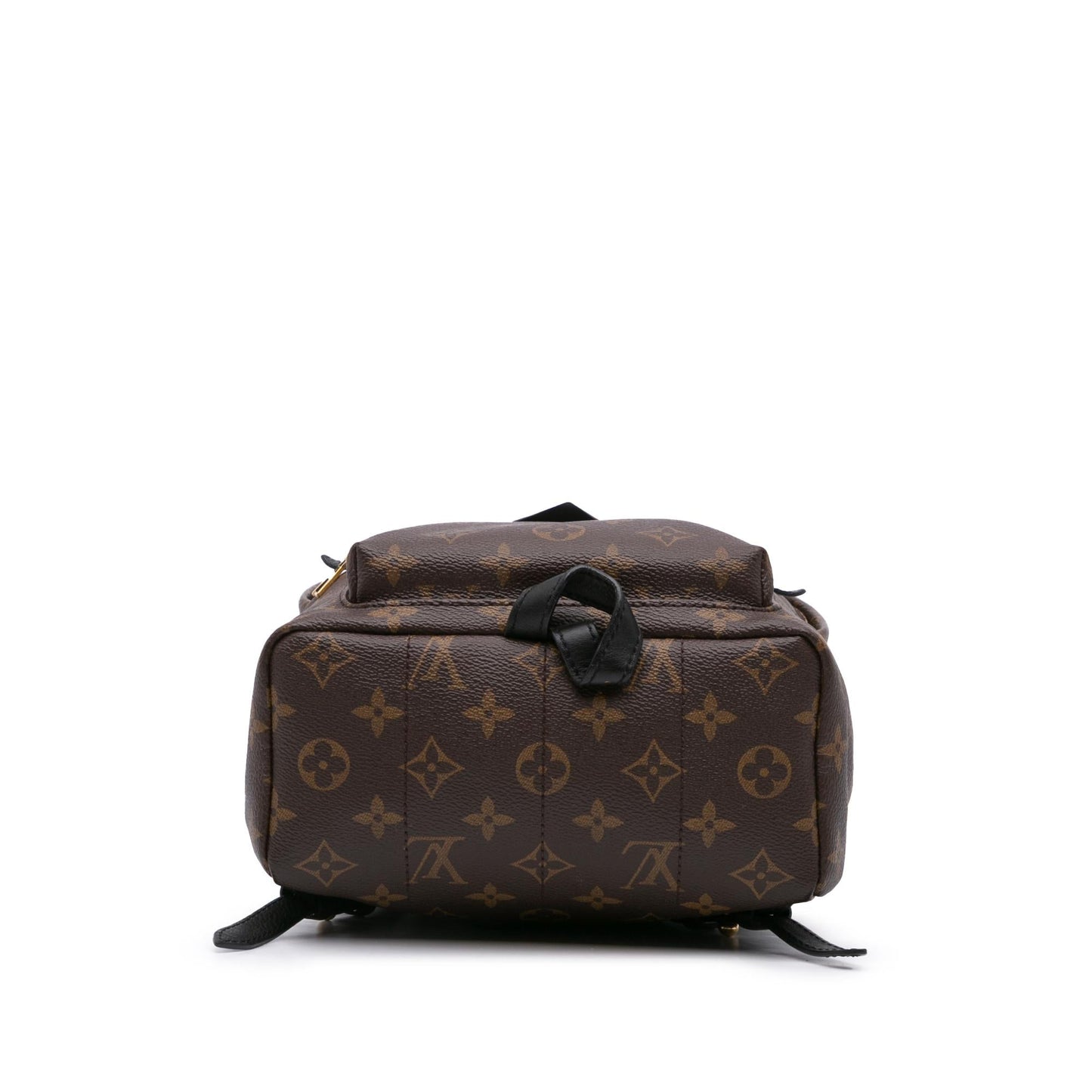 Louis Vuitton Monogram Palm Springs PM