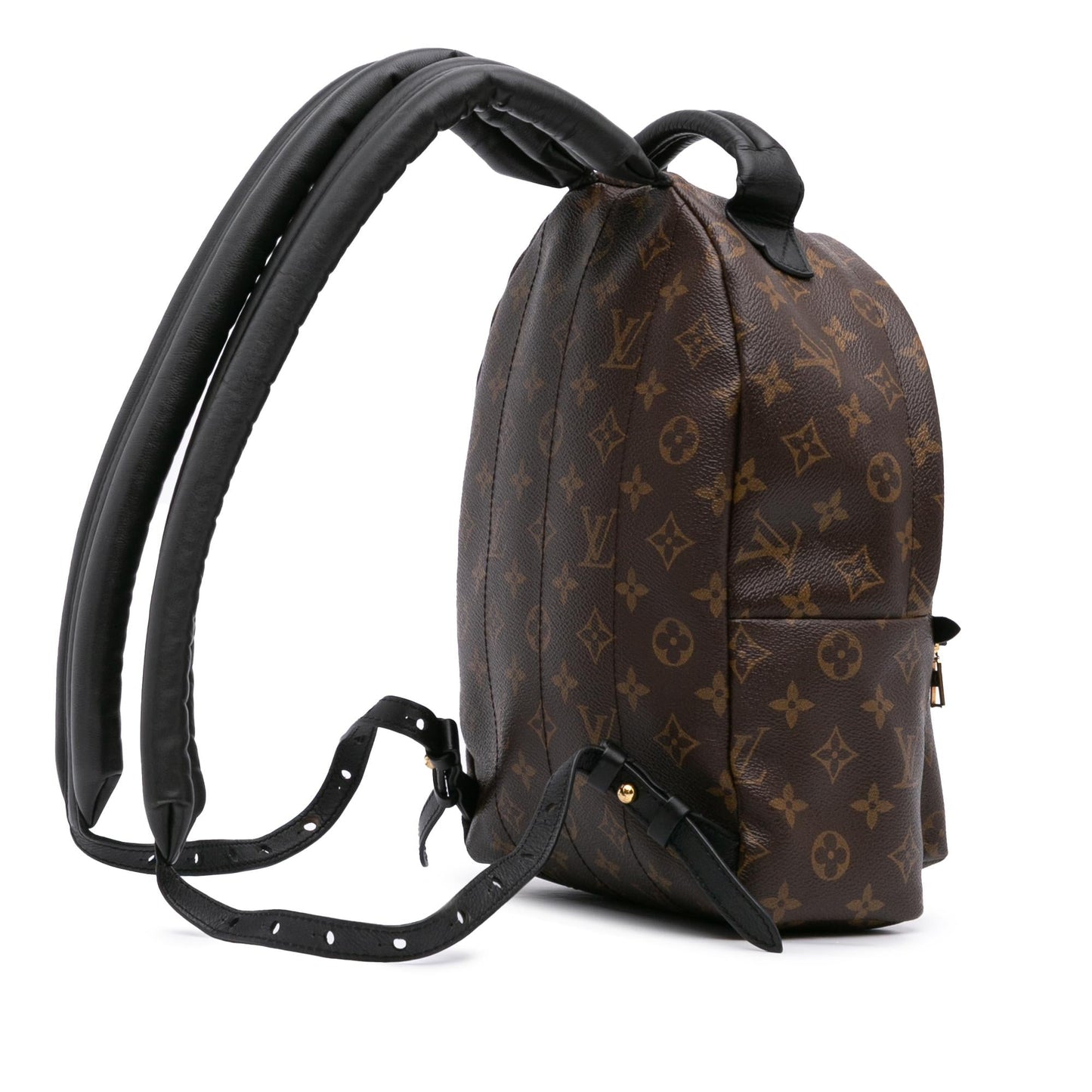 Louis Vuitton Monogram Palm Springs PM