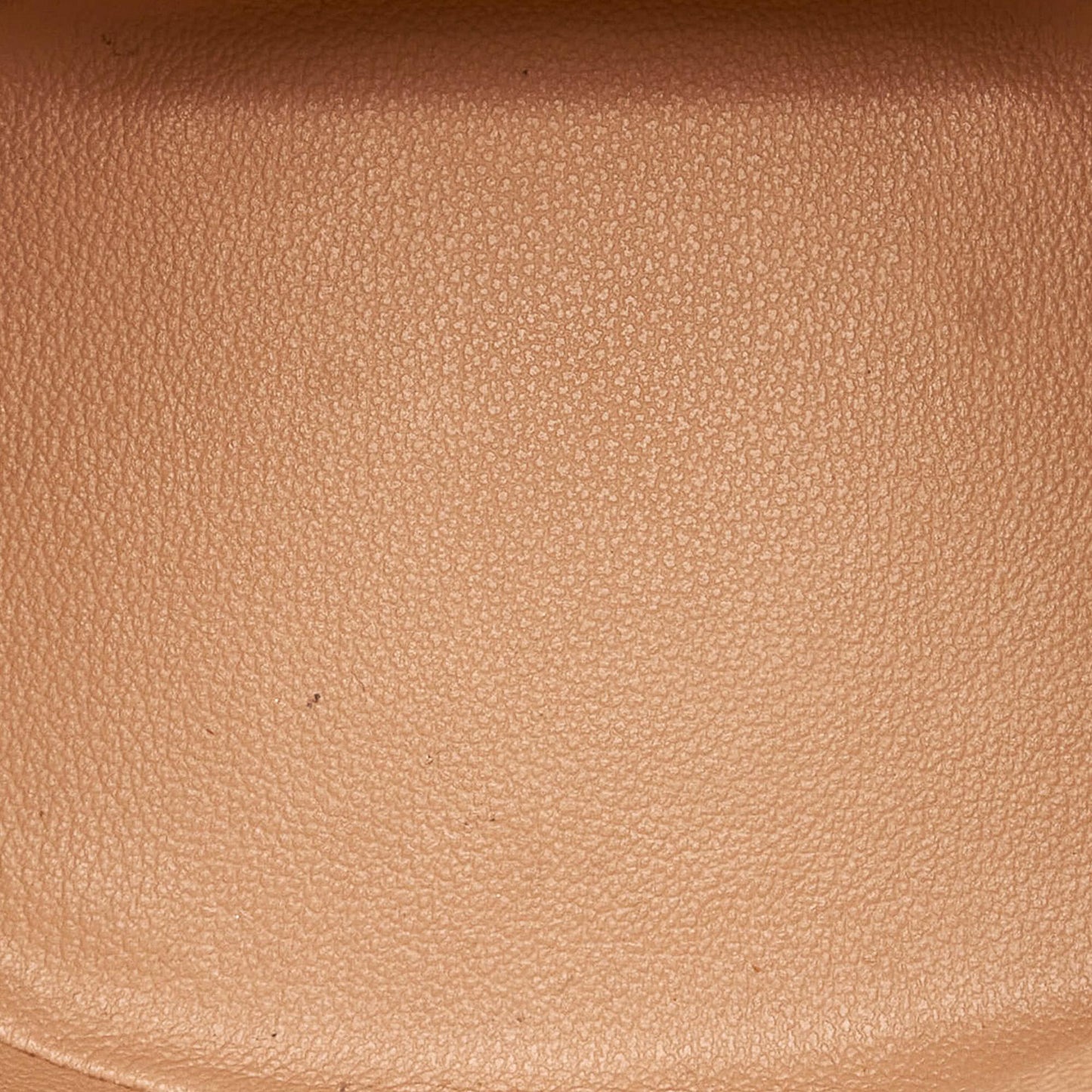 Louis Vuitton Monogram Petit Bucket Bag (SHG-32610)