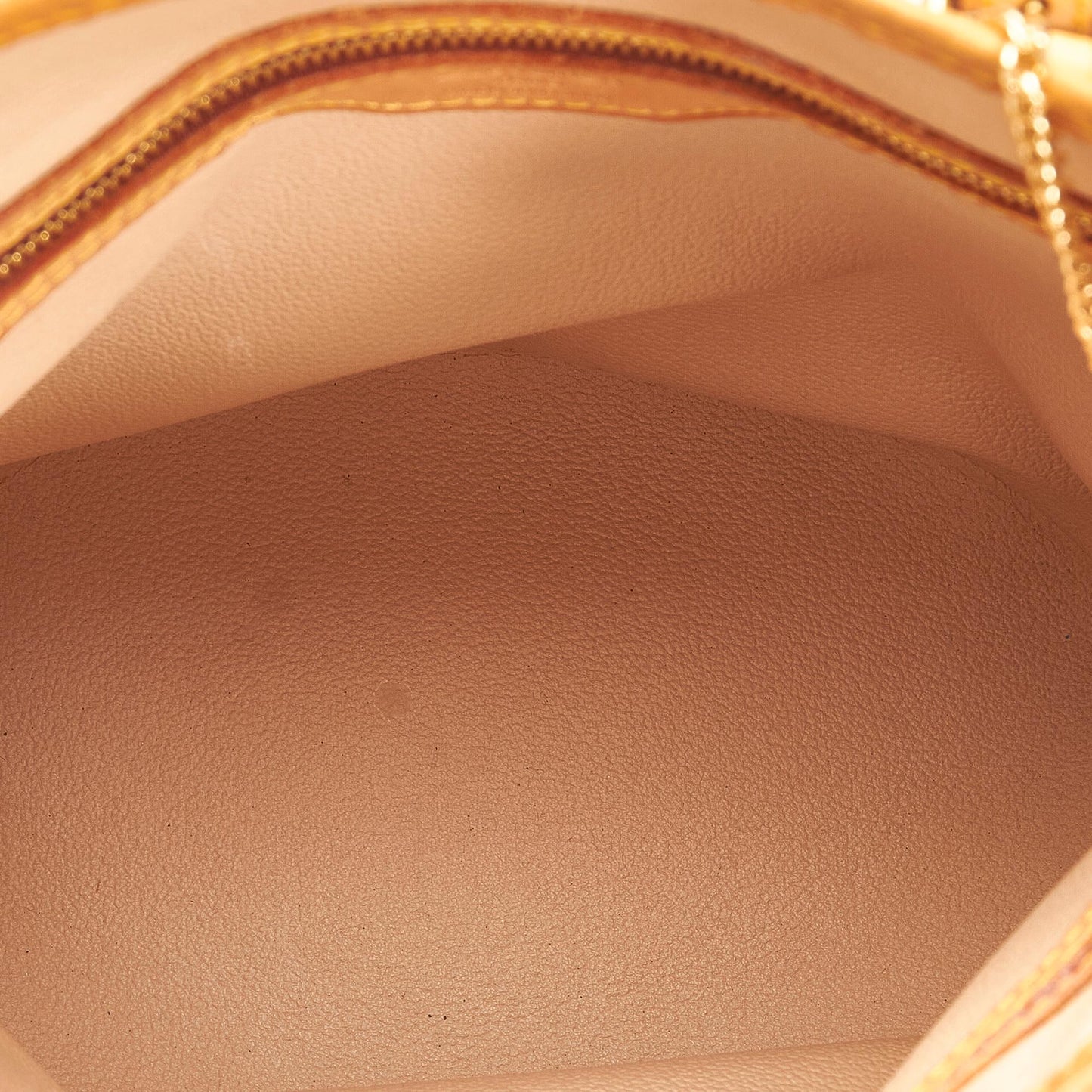 Louis Vuitton Monogram Petit Bucket PM (SHG-PgDTS4)