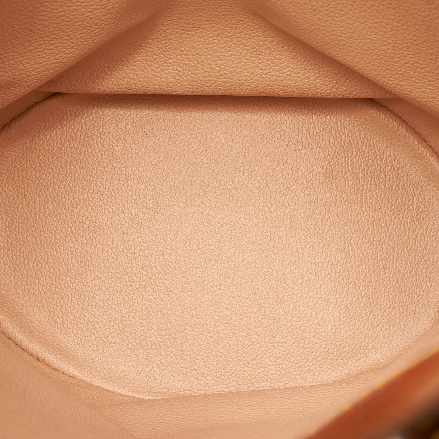 Louis Vuitton Monogram Petit Bucket (SHG-29772)