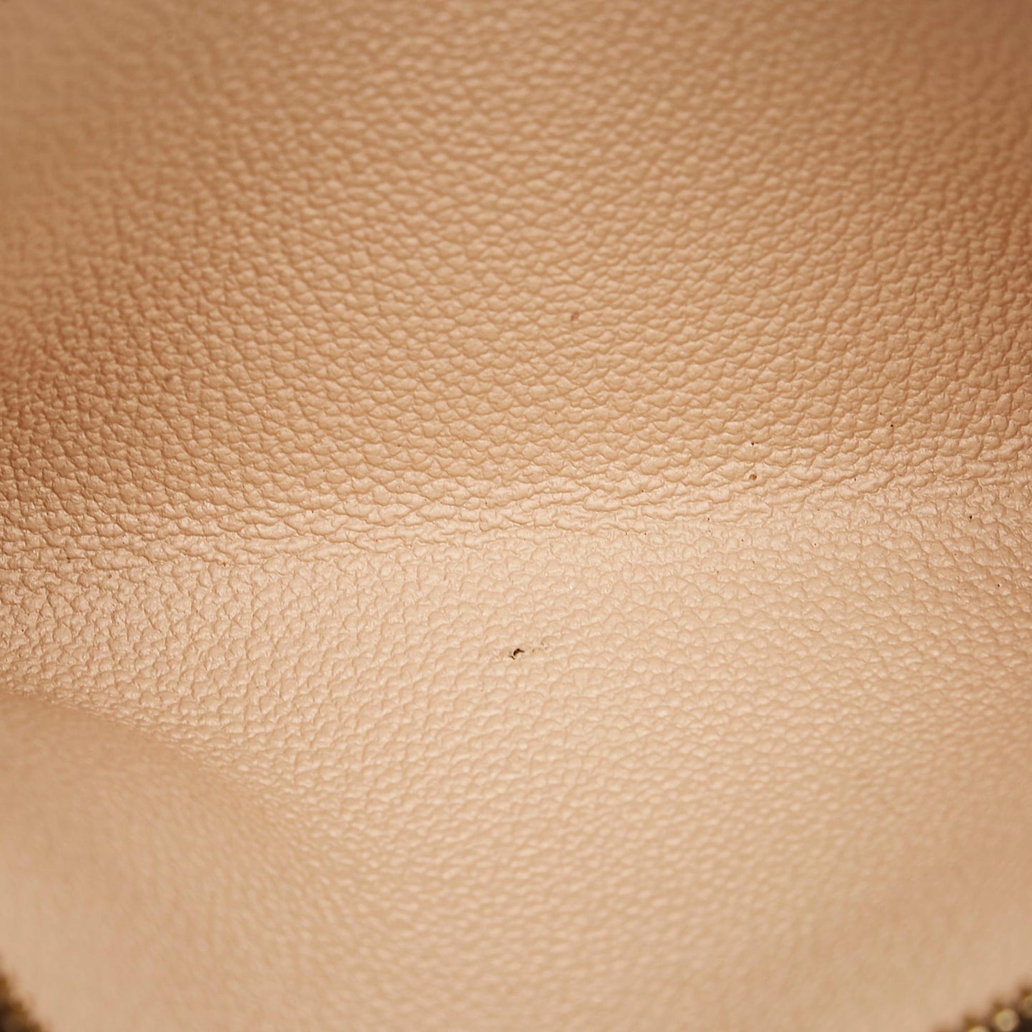 Louis Vuitton Monogram Petit Bucket (SHG-33299)