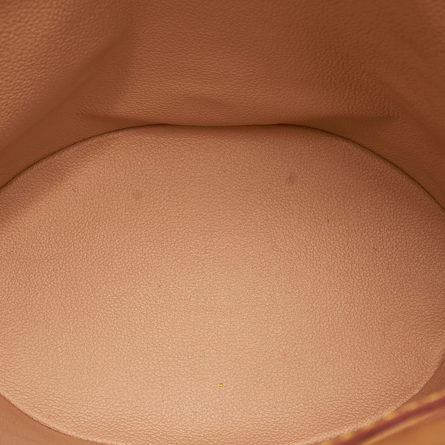 Louis Vuitton Monogram Petit Bucket (SHG-36312)