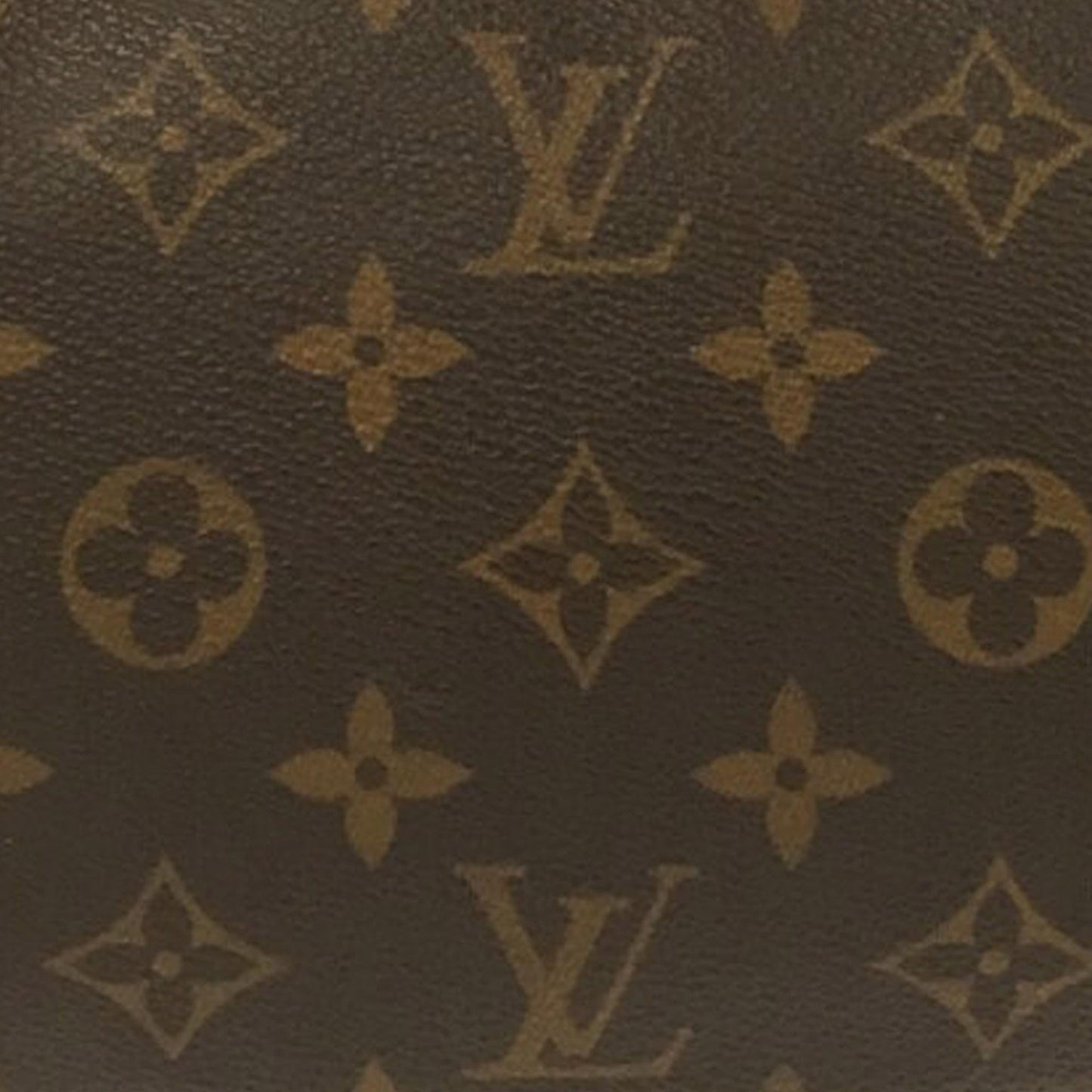 Louis Vuitton Monogram Pochette Accessoires (SHG-c3osKC)